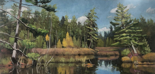 St. Regis River Headwaters Oil Painting