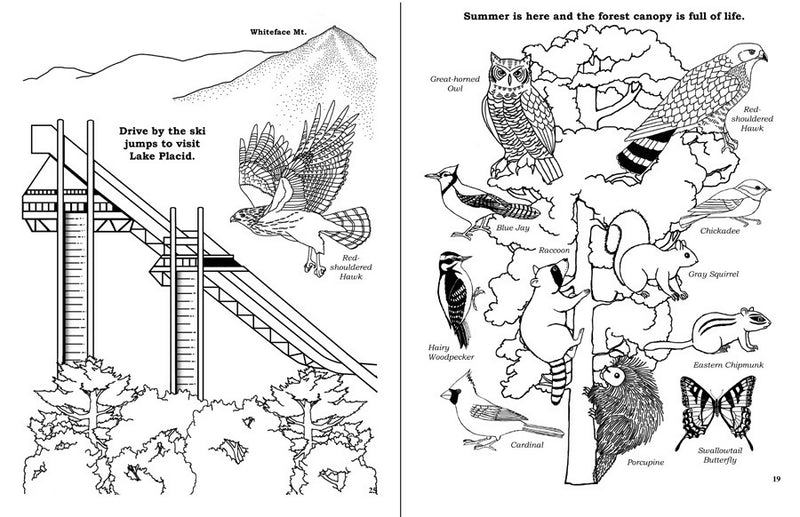 Load image into Gallery viewer, Color an Adirondack Year
