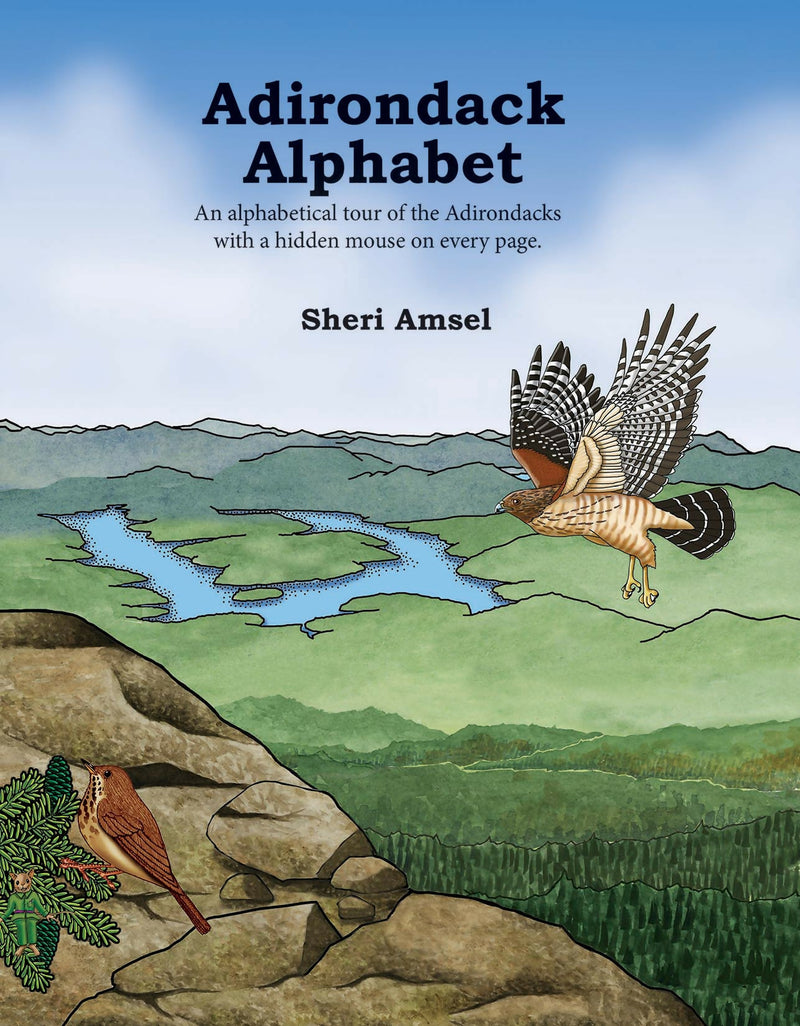 Load image into Gallery viewer, Adirondack Alphabet
