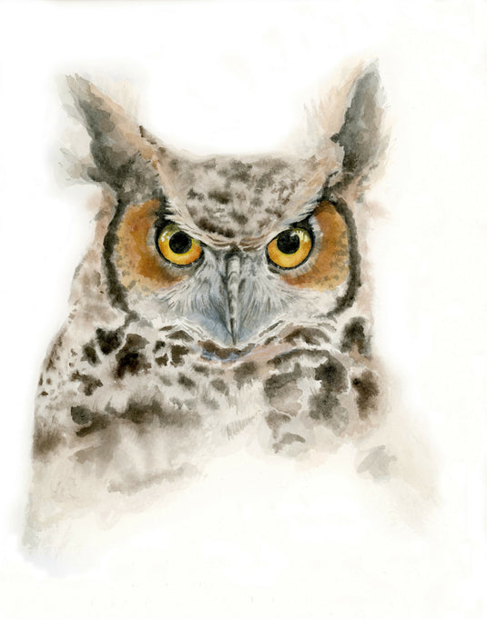 Great Horned Owl Watercolor Print
