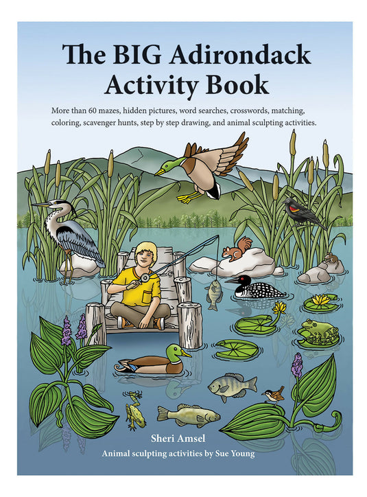 The BIG Adirondack Activity Book