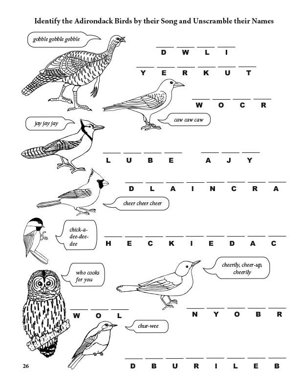 Load image into Gallery viewer, The BIG Adirondack Activity Book
