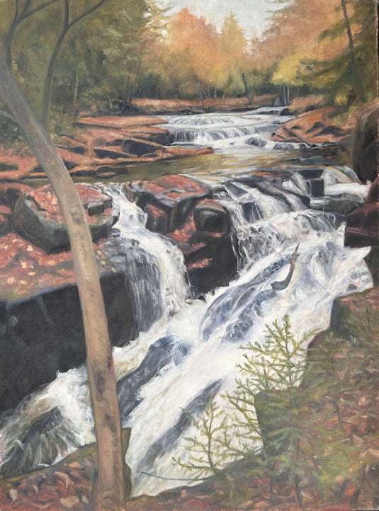 Winding Falls, Bog River Painting