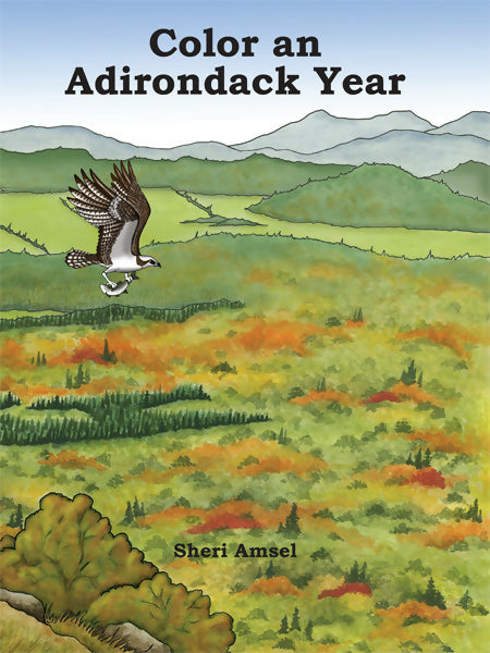 Color an Adirondack Year