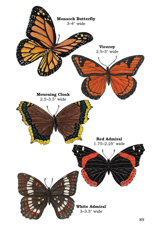 Vermont Nature Guide