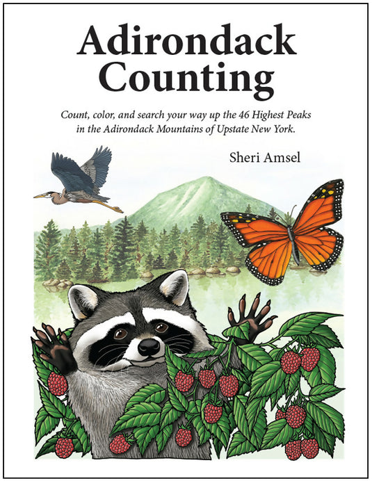 Adirondack Counting Book