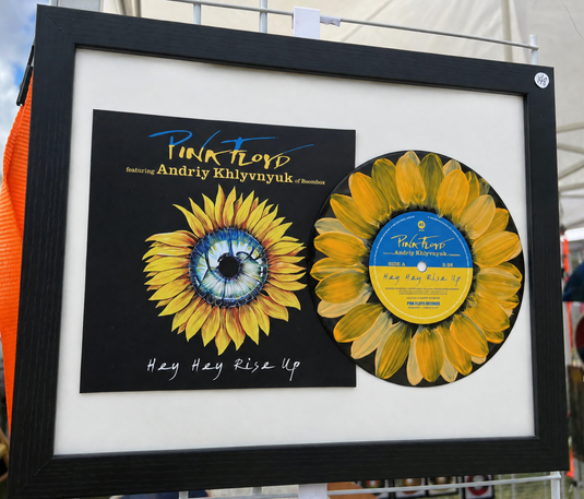Framed Plant Pigment Sunflower Vinyl Painting with Original Album Jacket