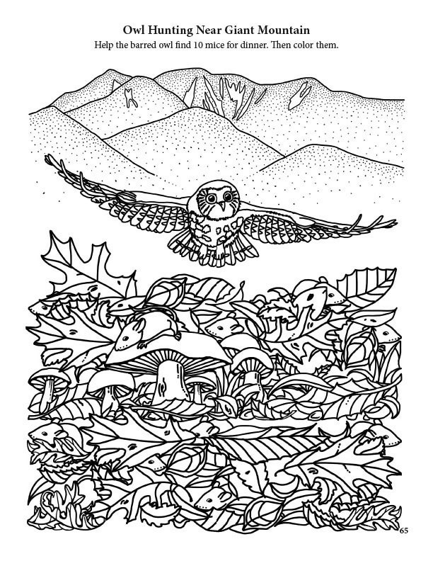 Load image into Gallery viewer, The BIG Adirondack Activity Book
