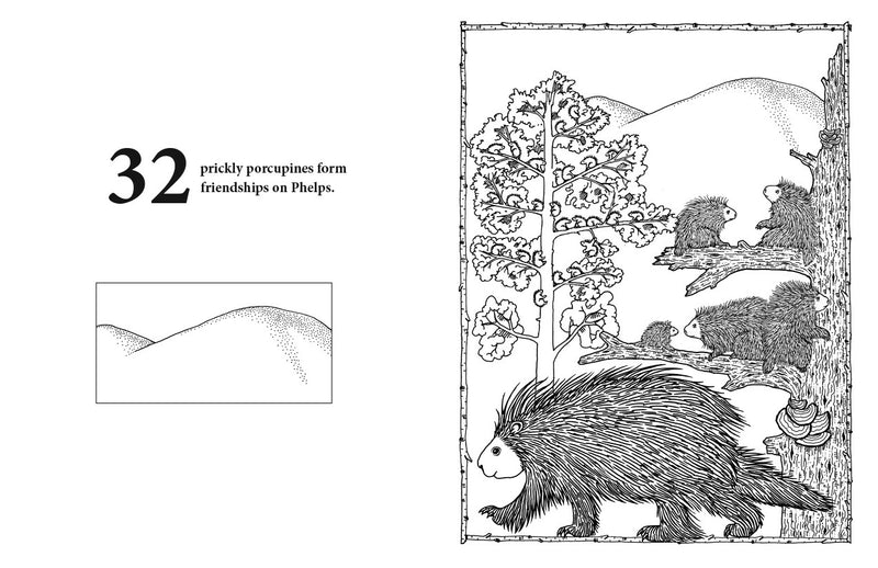 Load image into Gallery viewer, Adirondack Counting Book
