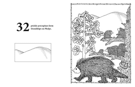 Adirondack Counting Book