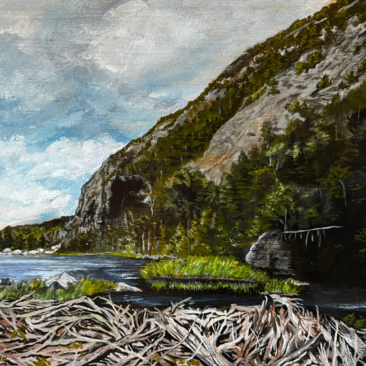 Avalanche Pass Painting