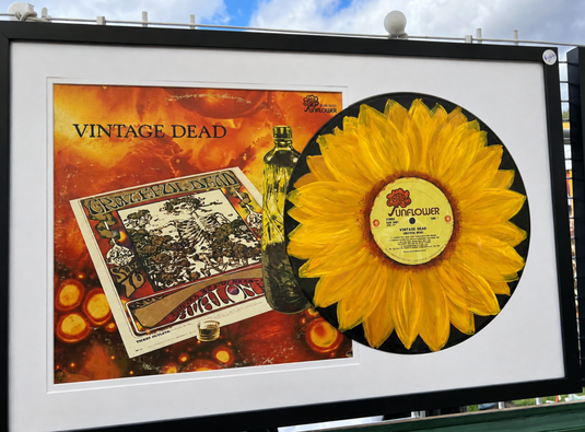 Framed  Plant Pigment Hand Painted Full Size Vinyl Album with Original Jacket