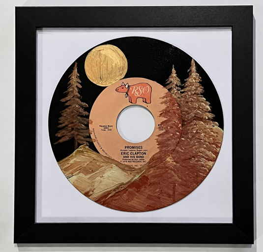 Hand Painted Repurposed Single Album