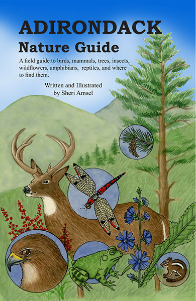 Adirondack Nature Guide