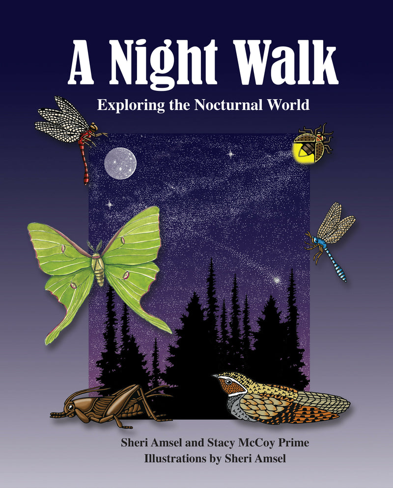 Load image into Gallery viewer, A Night Walk
