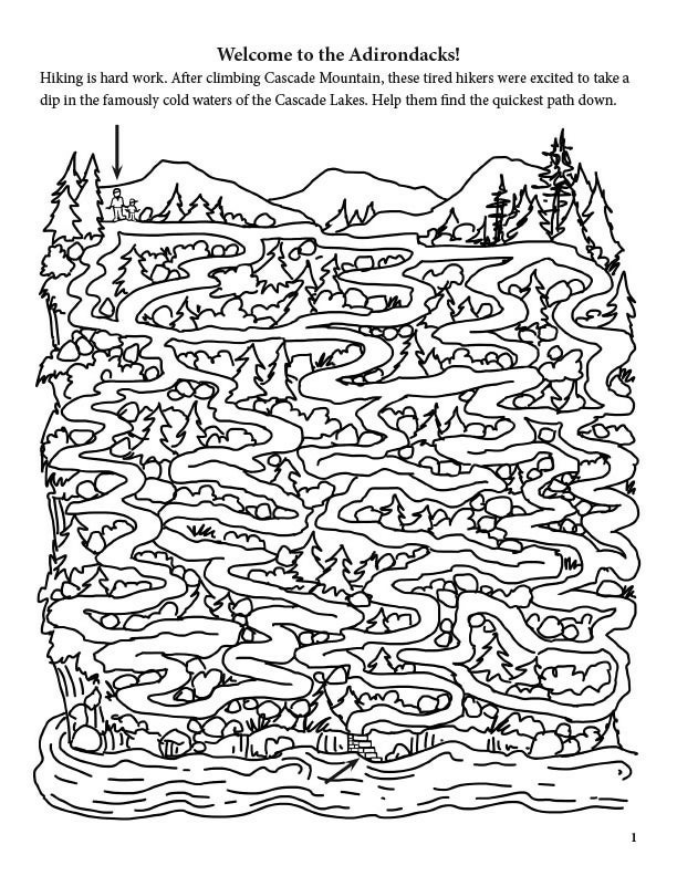 Load image into Gallery viewer, The BIG Adirondack Activity Book
