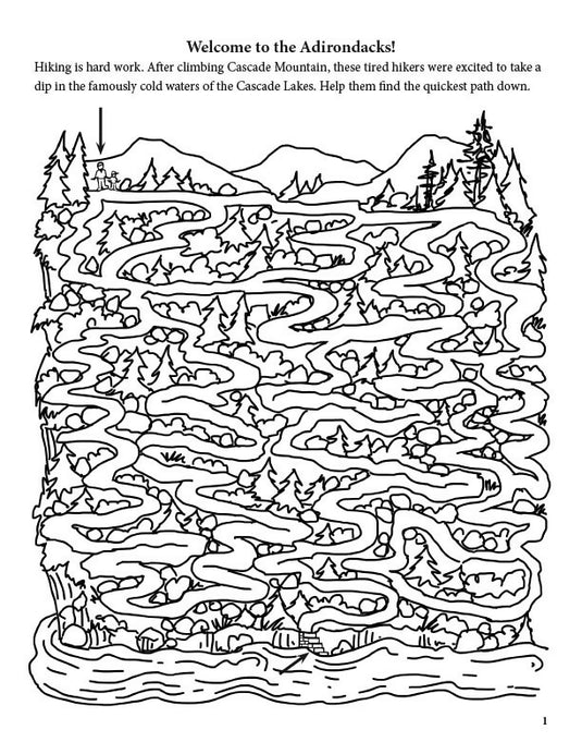 The BIG Adirondack Activity Book
