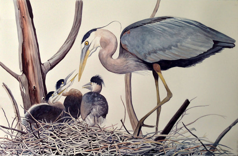 Load image into Gallery viewer, Lament for the Lost: Great Blue Heron Nest Painting
